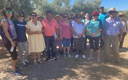 Visita a los olivos centenarios de Martos
